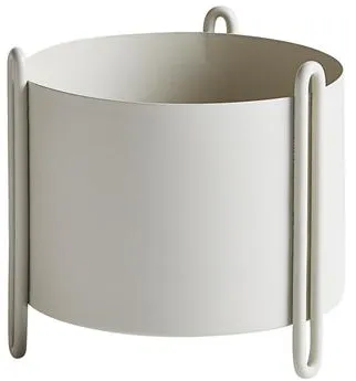 Woud Pidestall Krukväxt Liten Grå